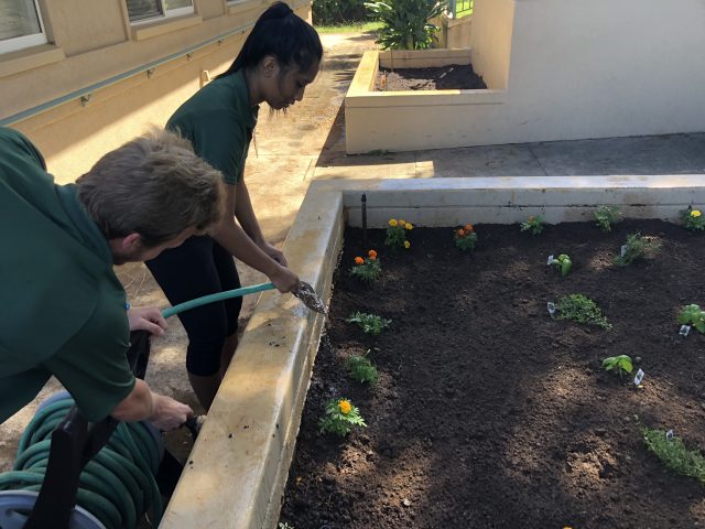 nursing students planting a garden
